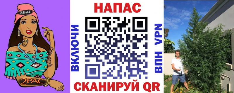как найти закладки  Суджа  Конопля индика 